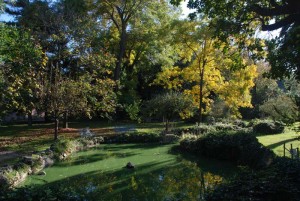 I verdi spazi dell'Orto Botanico di Pisa