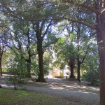 Uno scorcio del Parco di Villa Baciocchi