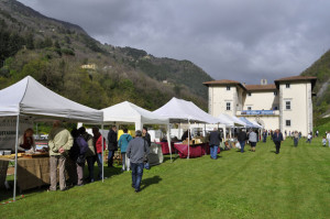 Il 26 e 27 Aprile al Palazzo Mediceo di Seravezza torna Enolia, la rassegna dedicata all'eccellenza nella produzione dell'olio e ai prodotti locali