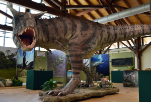La Terra dei giganti, la mostra sui dinosauri, al Museo di Storia Naturale