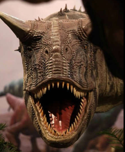 Dinosauri: predatori e prede 